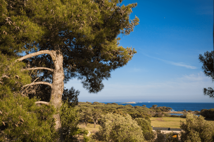 Hôtel confidentiel Le Grecale yay